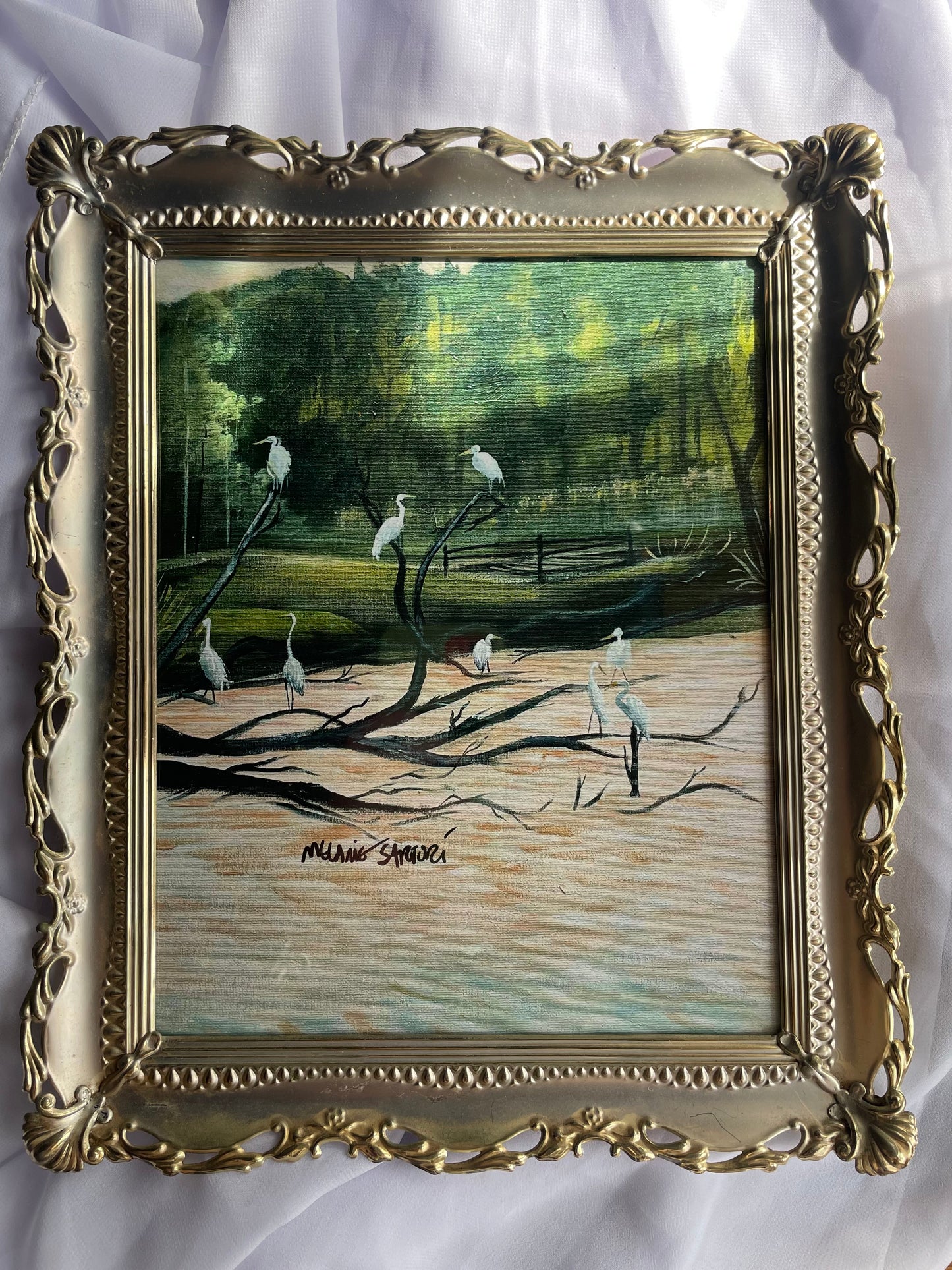Egrets framed print