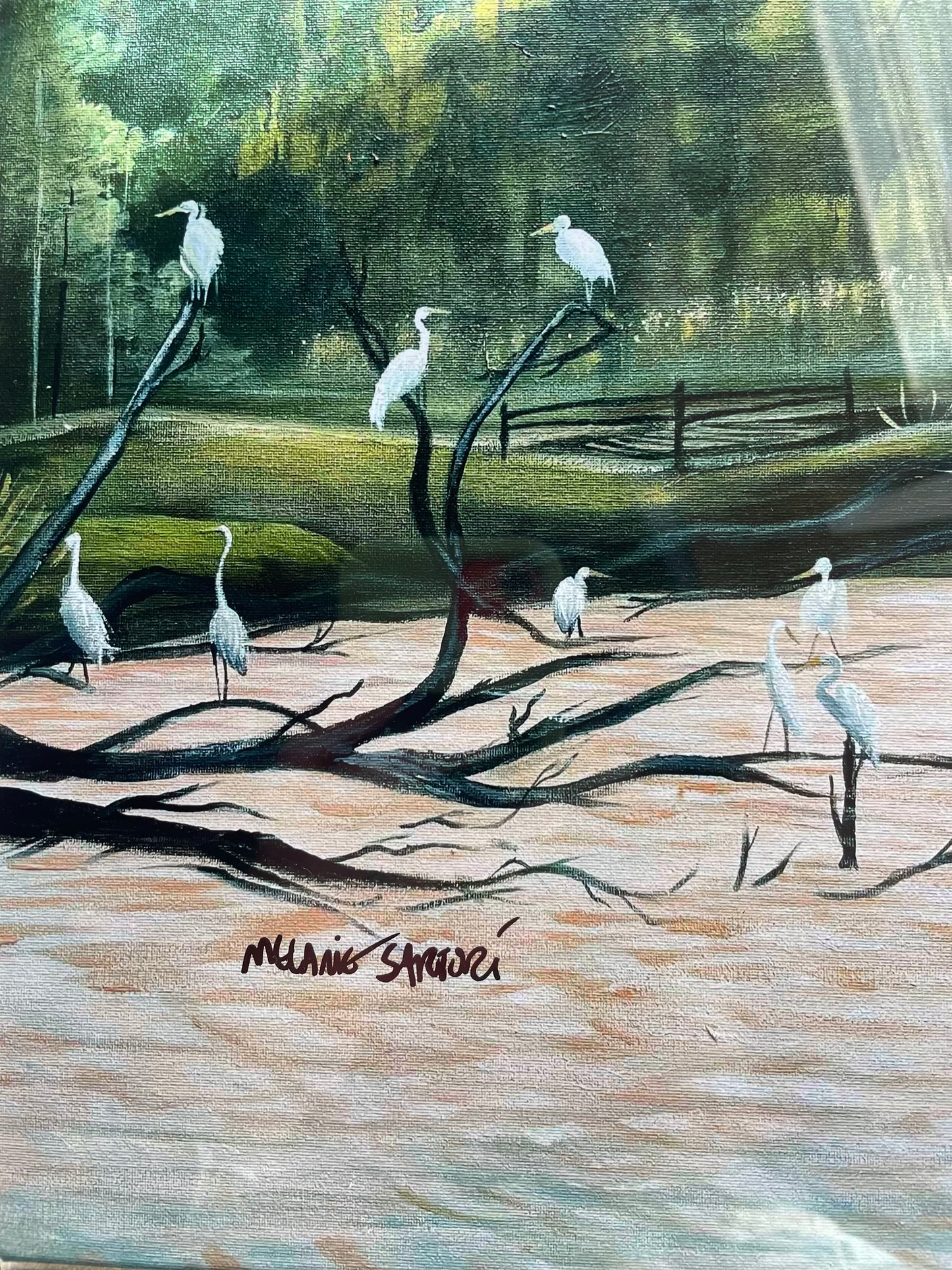 Egrets framed print