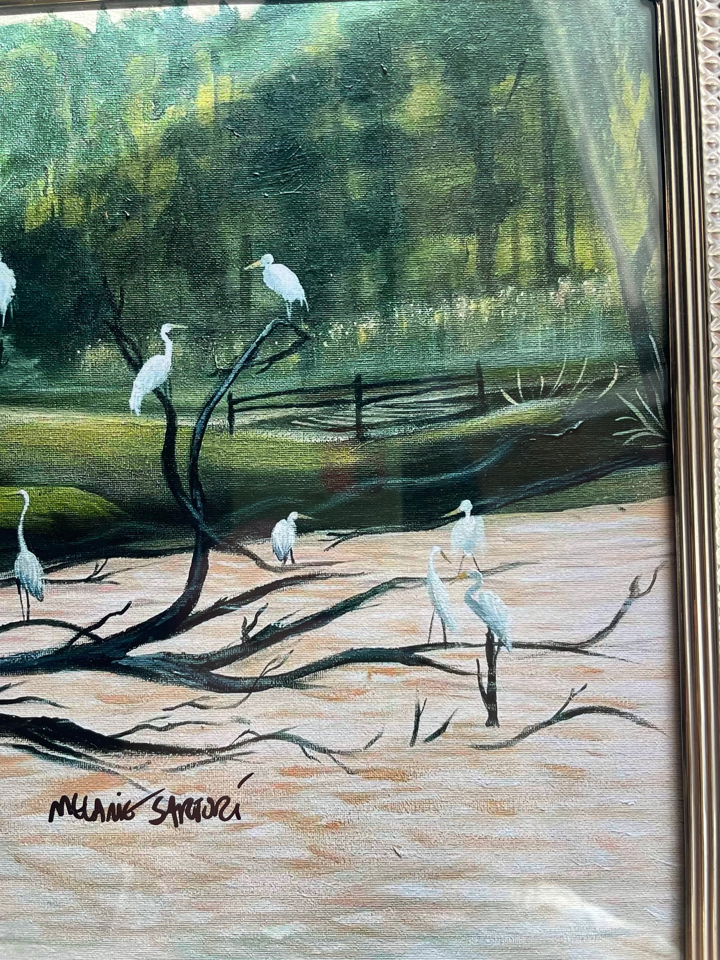Egrets framed print